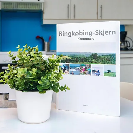 4 Person In Ringkobing-by Traum Ringkøbing