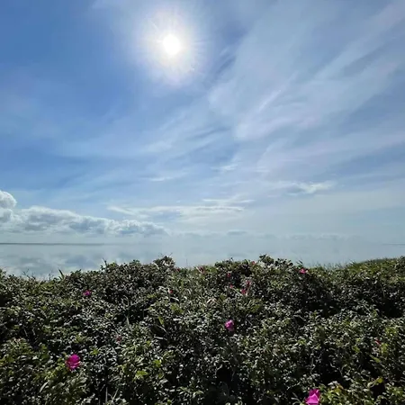 4 Person In Ringkobing-by Traum * Ringkøbing